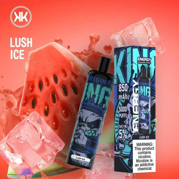 KK Energy Lush Ice Disposable 5000 Puffs
